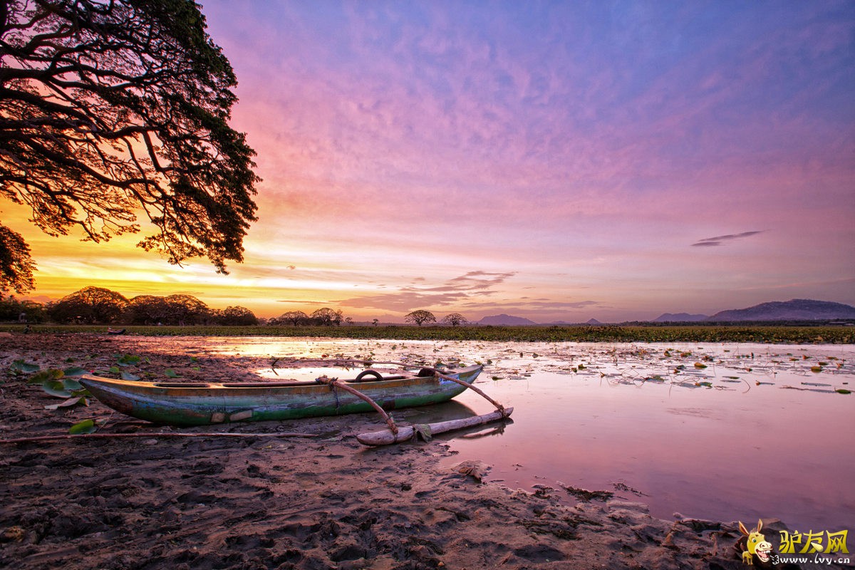 ��ɪ�� sunset.jpg